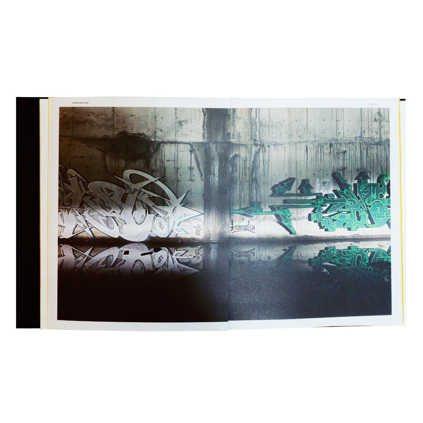 Potato With Salt 10th Anniversary Zine – Orbis