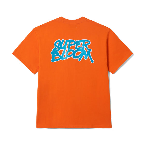 Core Logo - Orange