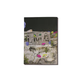 Ecstacid Artist Series Zine