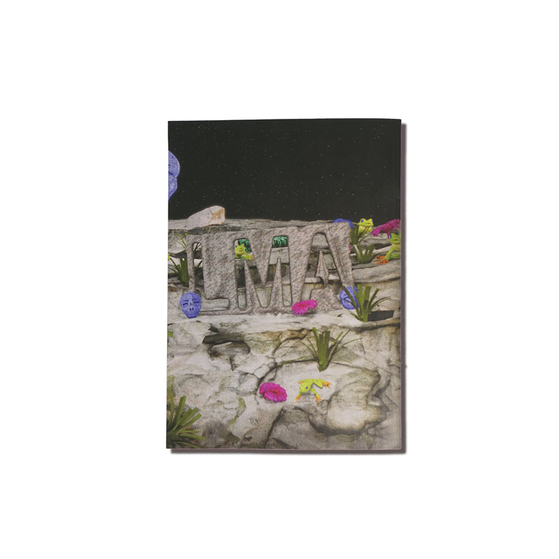 Ecstacid Artist Series Zine