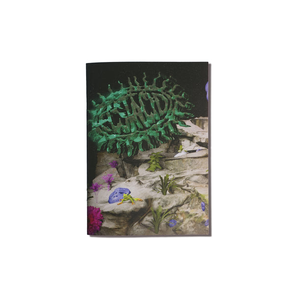 Ecstacid Artist Series Zine