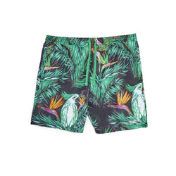 Toucan Gram Elastic Shorts - Multi