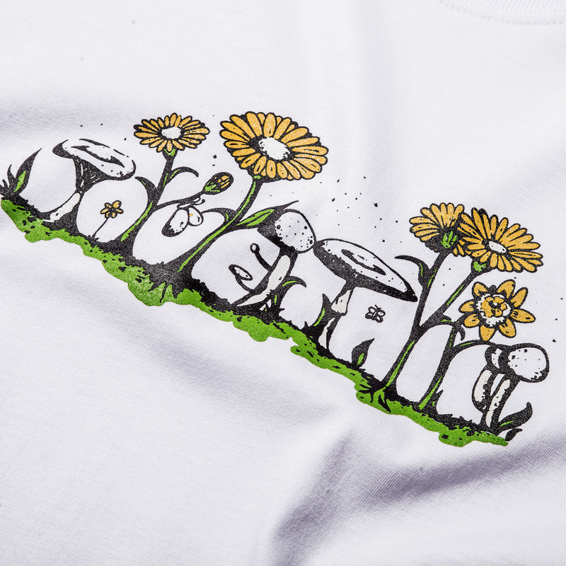 Sunflower - White