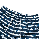Stash Water Short - Blue